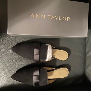 Ann Taylor Elise Slides